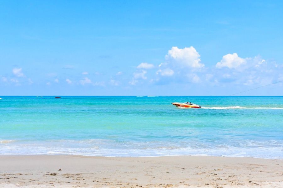 暑季（3月〜5月）——覚悟して挑む季節